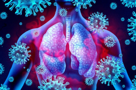 4 Best Ways to Boost the Immune System Healthily