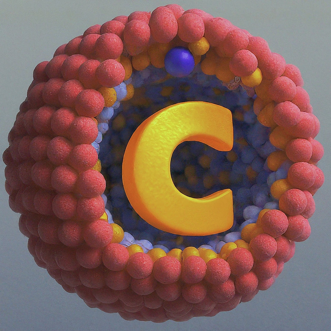 Liposomes in Medicine and Their Introduction to Vitamin C